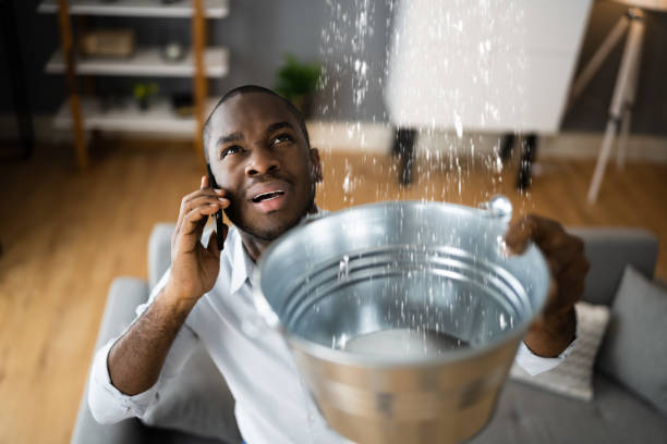 Best Commercial water damage restoration  in East Quincy, CA