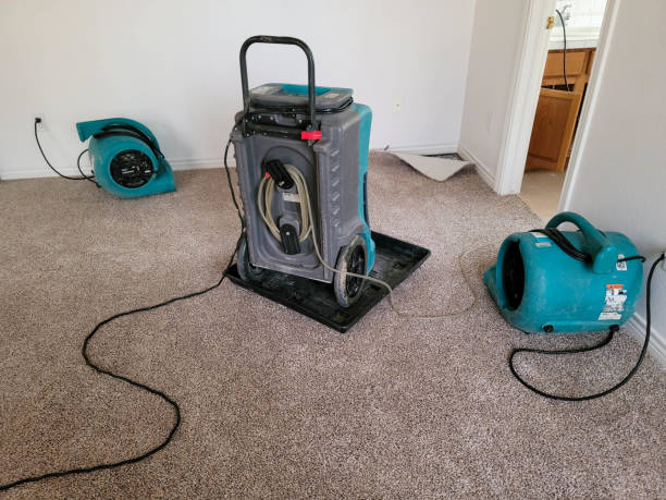 Best Water damage contractors near me  in East Quincy, CA