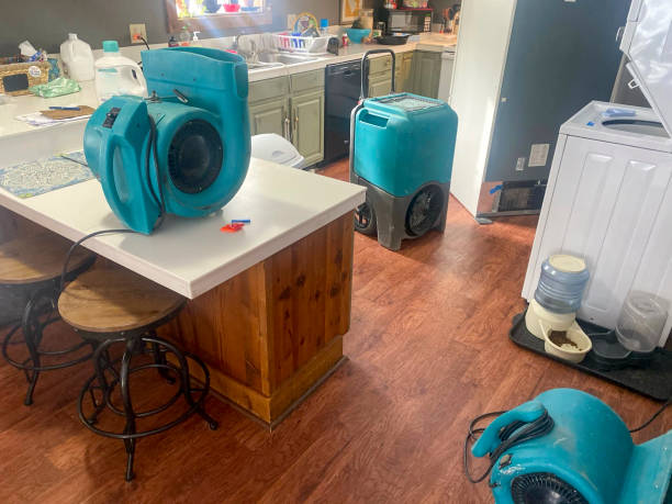 Best Water damage restoration near me  in East Quincy, CA