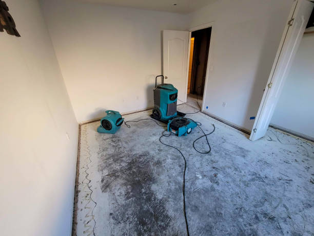 Best Ceiling water damage repair  in East Quincy, CA