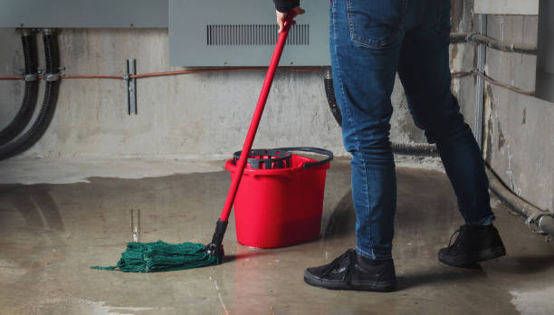 Best Flood restoration services  in East Quincy, CA