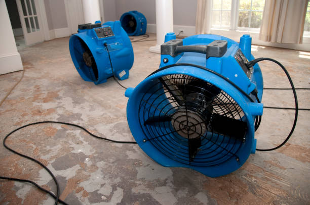 Best Emergency water damage restoration  in East Quincy, CA
