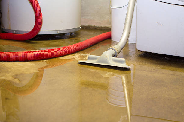 Best Water damage restoration near me  in East Quincy, CA