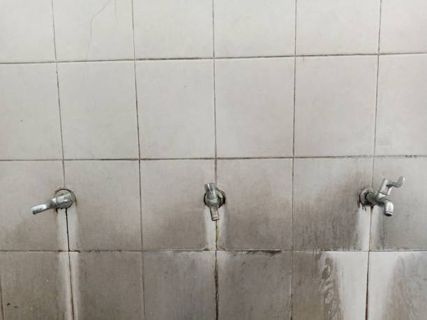 Best Local water damage restoration  in East Quincy, CA
