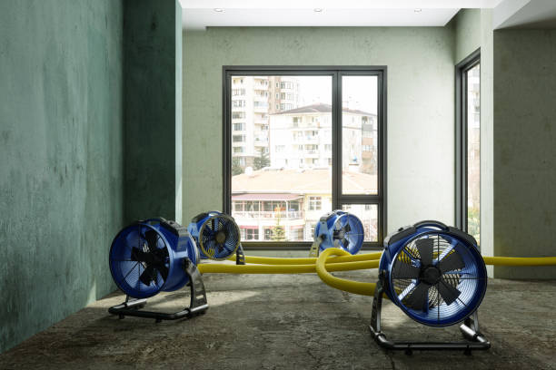 Best Fire Damage Restoration  in East Quincy, CA